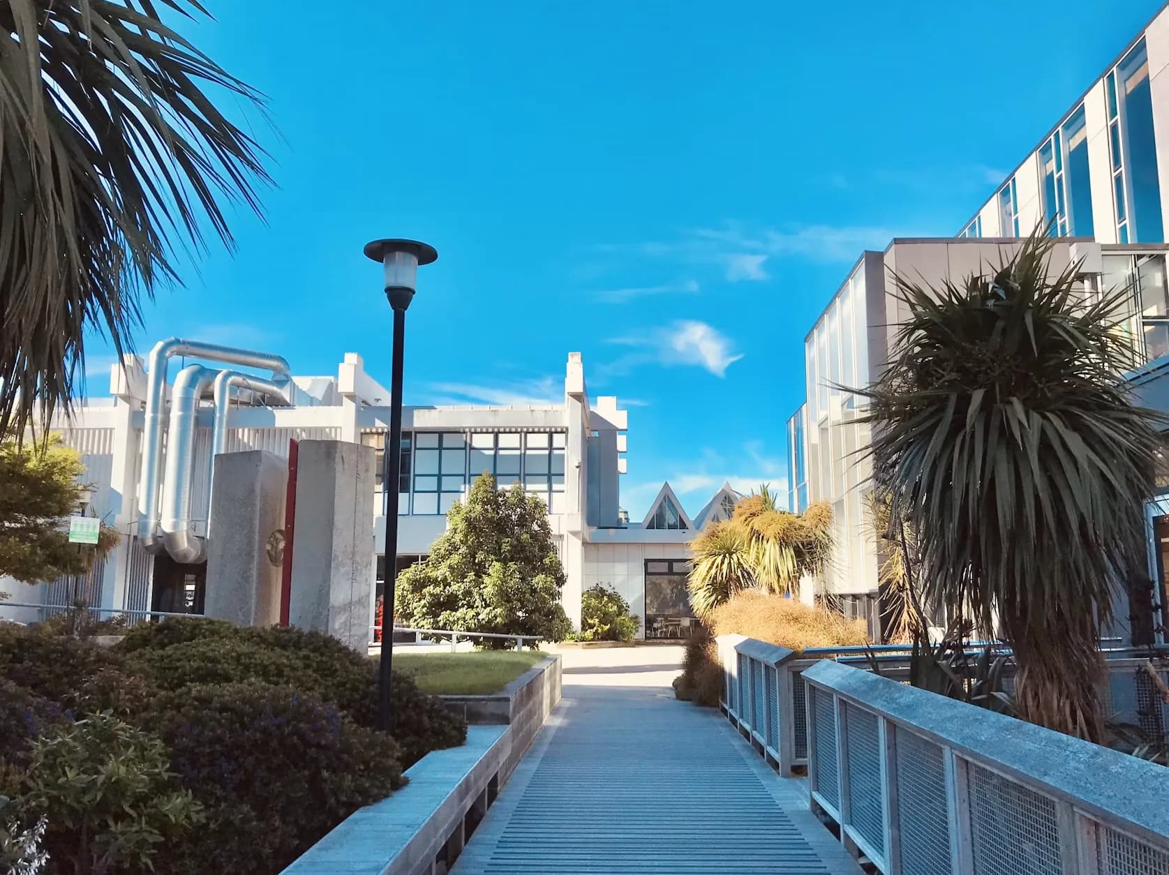 Massey University
